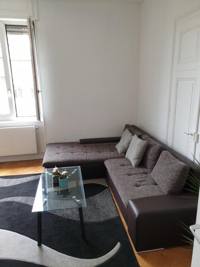Ferienwohnung Strasbourg Centre Le 85, Superbe F5, 125M2, 5 Pieces Exterior foto